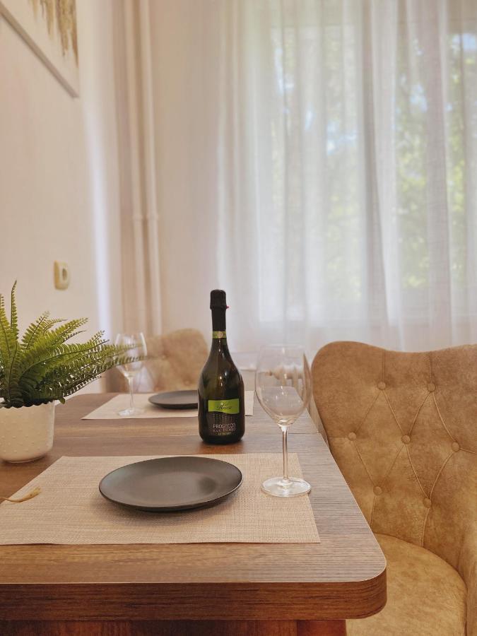 Timisoara Central Apartament公寓 外观 照片